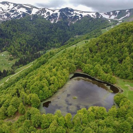 Vila Rakovic Katun - Biogradska Gora Accomodation Berane Exteriér fotografie