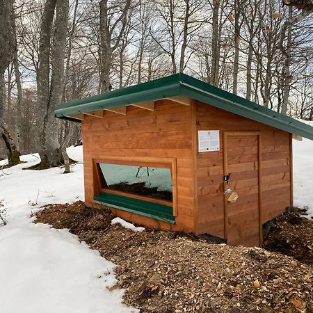 Vila Rakovic Katun - Biogradska Gora Accomodation Berane Exteriér fotografie