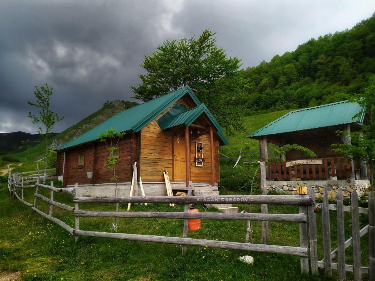 Vila Rakovic Katun - Biogradska Gora Accomodation Berane Exteriér fotografie