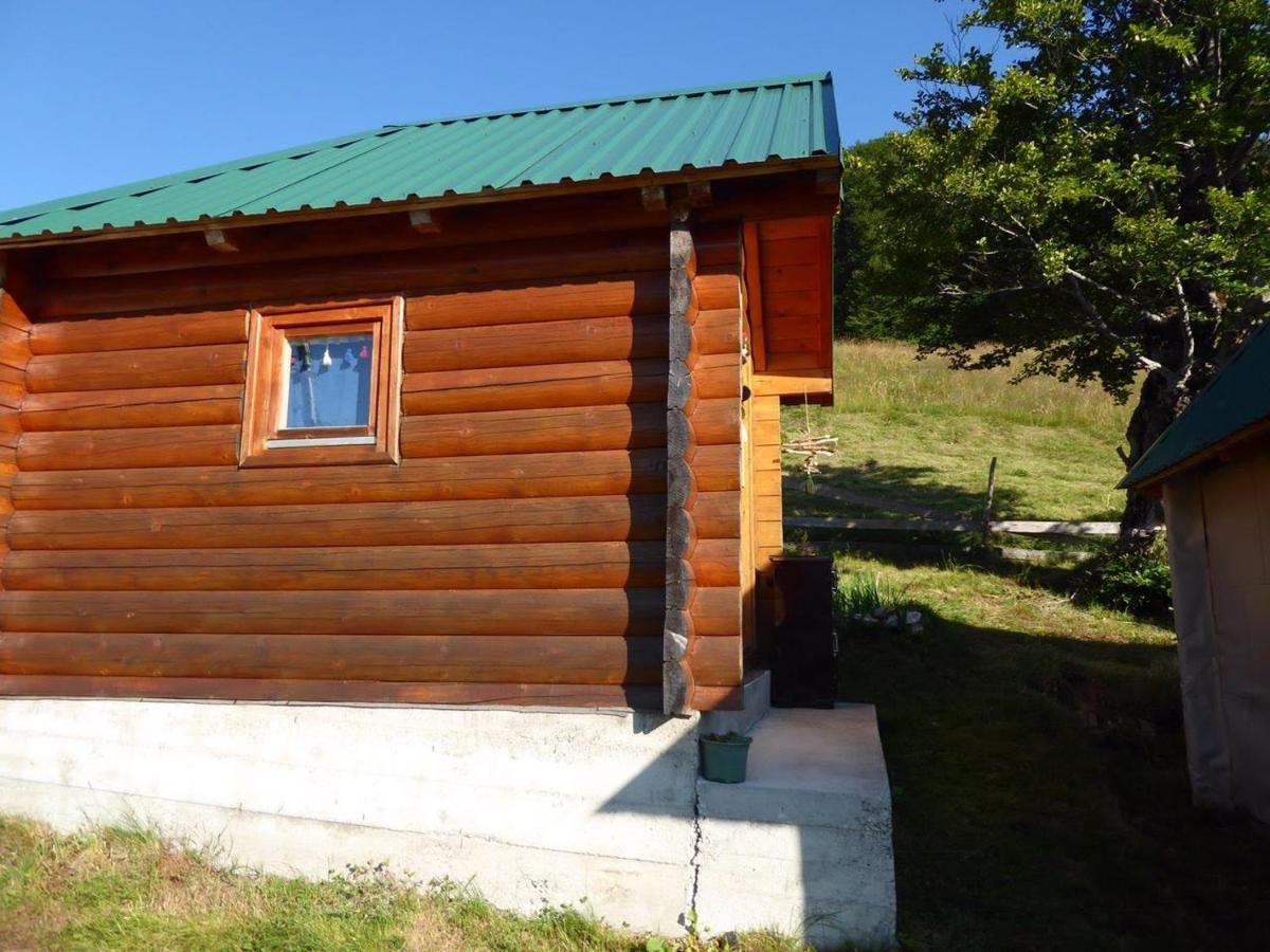 Vila Rakovic Katun - Biogradska Gora Accomodation Berane Exteriér fotografie