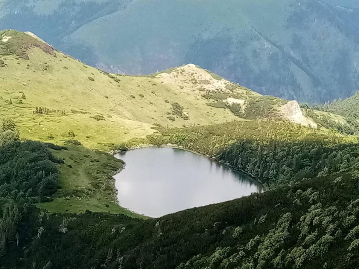 Vila Rakovic Katun - Biogradska Gora Accomodation Berane Exteriér fotografie