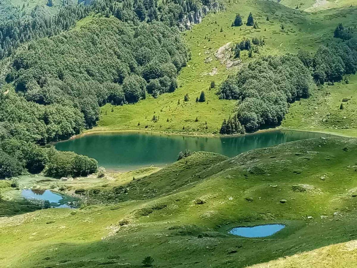 Vila Rakovic Katun - Biogradska Gora Accomodation Berane Exteriér fotografie