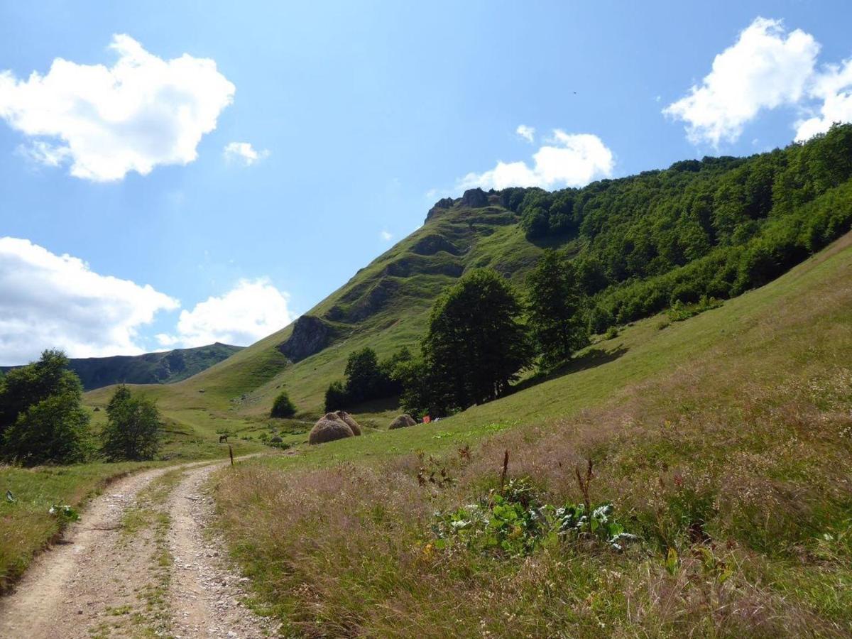 Vila Rakovic Katun - Biogradska Gora Accomodation Berane Exteriér fotografie