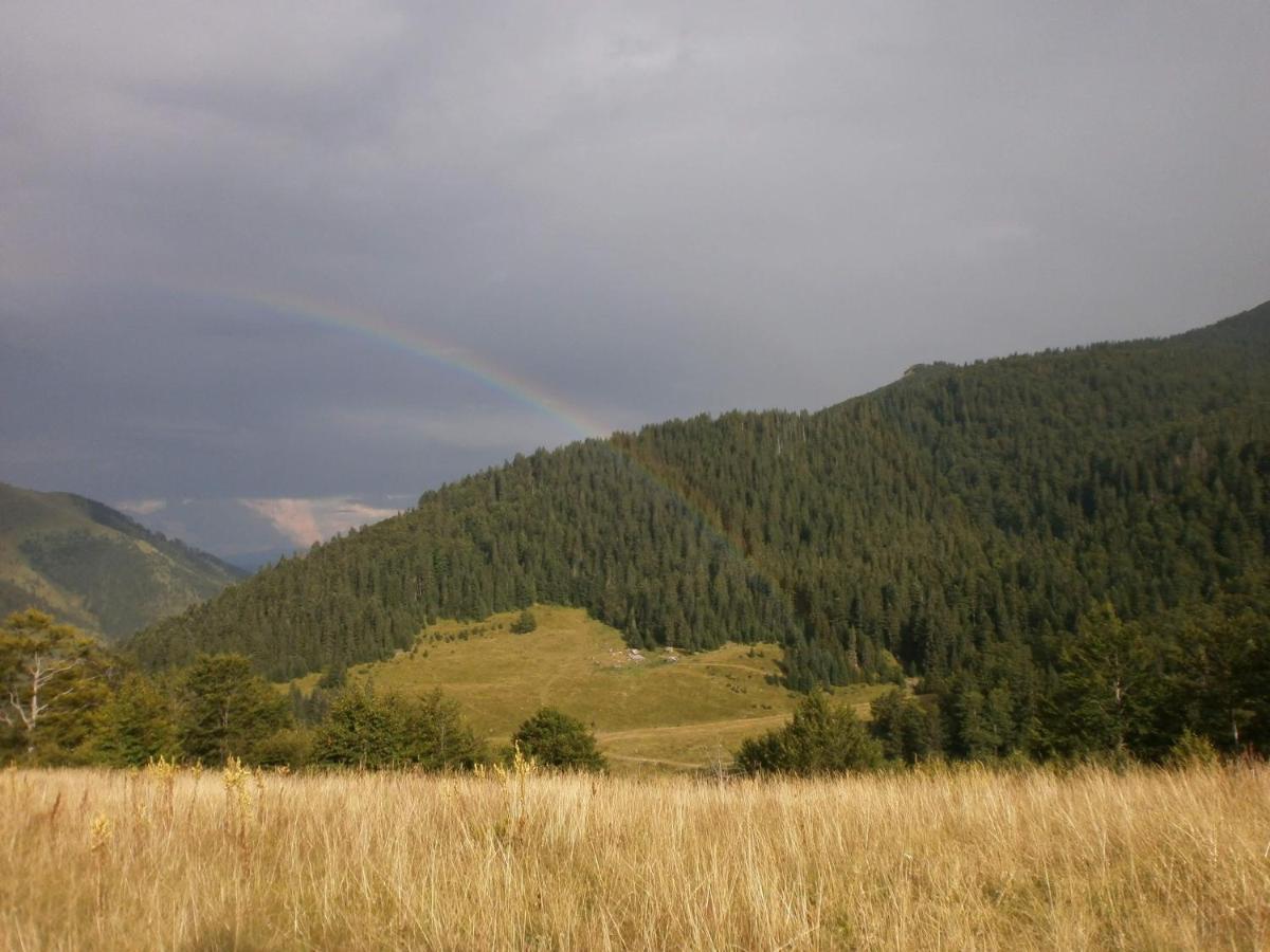 Vila Rakovic Katun - Biogradska Gora Accomodation Berane Exteriér fotografie