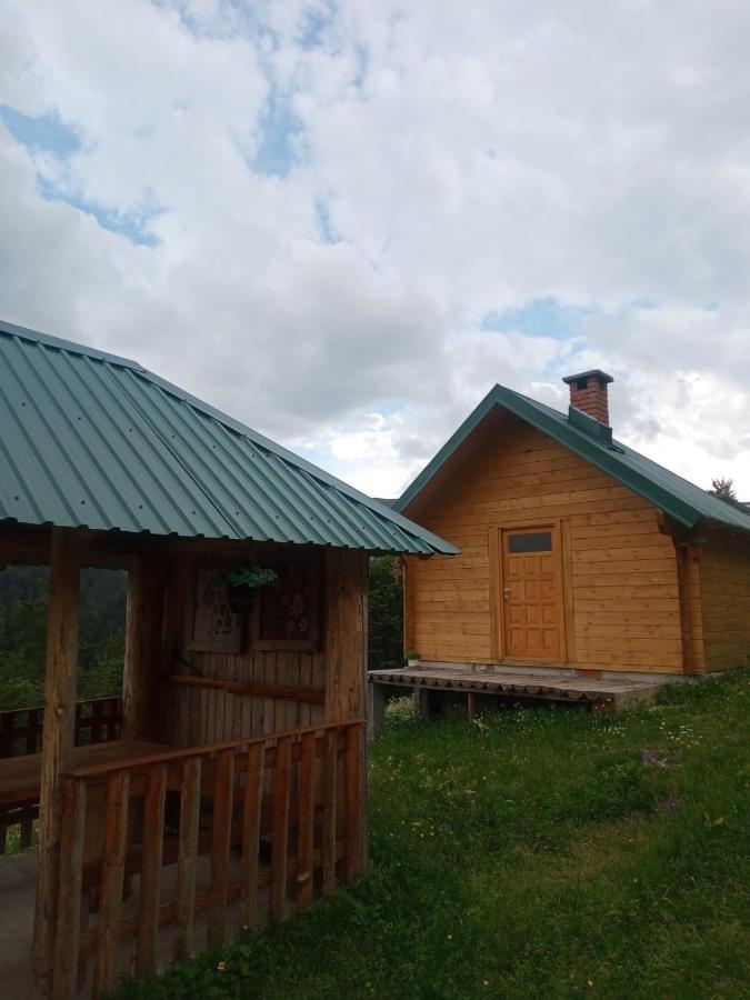 Vila Rakovic Katun - Biogradska Gora Accomodation Berane Exteriér fotografie