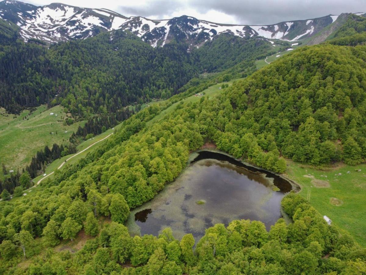 Vila Rakovic Katun - Biogradska Gora Accomodation Berane Exteriér fotografie